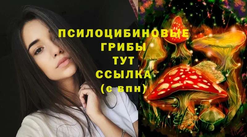 Псилоцибиновые грибы Magic Shrooms  Полтавская 